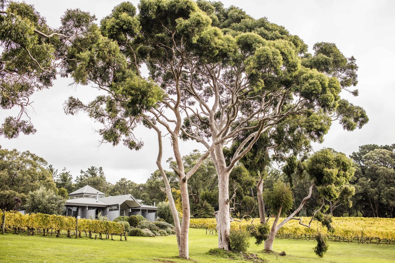 Polperro Villas Red Hill Exteriör bild